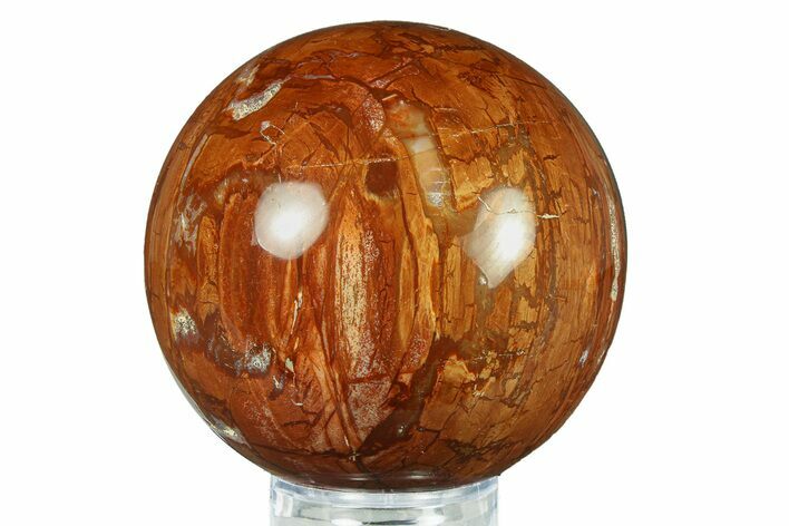 Colorful Petrified Wood (Araucaria) Sphere - Madagascar #286142